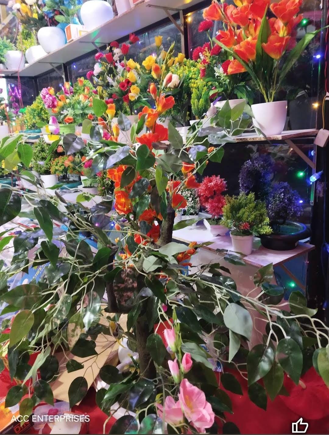 ACC Enterprises KOOMPANPARA